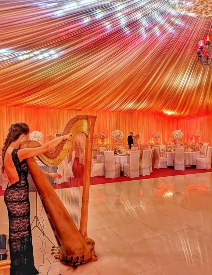 Hotel Dennis Mediaş Extérieur photo