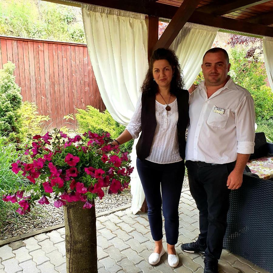 Hotel Dennis Mediaş Extérieur photo