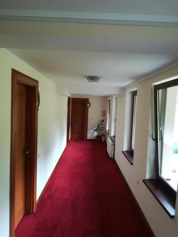 Hotel Dennis Mediaş Extérieur photo