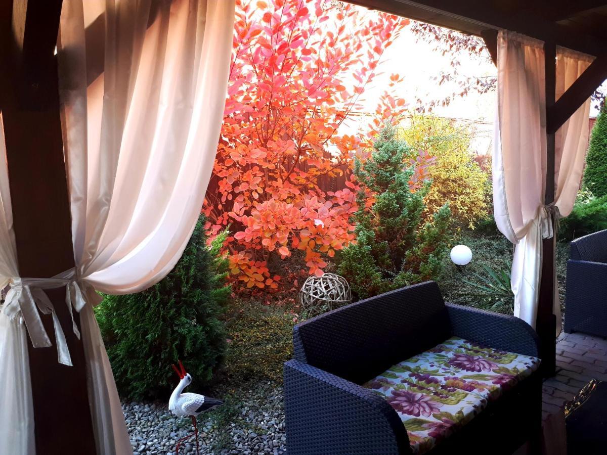 Hotel Dennis Mediaş Extérieur photo
